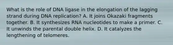 What is the role of DNA ligase in the elongation of the lagging strand during DNA replication? A. It joins Okazaki fragments together. B. It synthesizes RNA nucleotides to make a primer. C. It unwinds the parental double helix. D. It catalyzes the lengthening of telomeres.