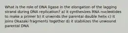 What is the role of DNA ligase in the elongation of the lagging strand during DNA replication? a) it synthesizes RNA nucleotides to make a primer b) it unwinds the parental double helix c) it joins Okazaki fragments together d) it stabilizes the unwound parental DNA