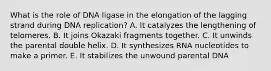 What is the role of DNA ligase in the elongation of the lagging strand during <a href='https://www.questionai.com/knowledge/kofV2VQU2J-dna-replication' class='anchor-knowledge'>dna replication</a>? A. It catalyzes the lengthening of telomeres. B. It joins Okazaki fragments together. C. It unwinds the parental double helix. D. It synthesizes RNA nucleotides to make a primer. E. It stabilizes the unwound parental DNA