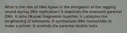 What is the role of DNA ligase in the elongation of the lagging strand during DNA replication? It stabilizes the unwound parental DNA. It joins Okazaki fragments together. It catalyzes the lengthening of telomeres. It synthesizes RNA nucleotides to make a primer. It unwinds the parental double helix.