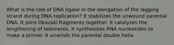 What is the role of DNA ligase in the elongation of the lagging strand during DNA replication? It stabilizes the unwound parental DNA. It joins Okazaki fragments together. It catalyzes the lengthening of telomeres. It synthesizes RNA nucleotides to make a primer. It unwinds the parental double helix.