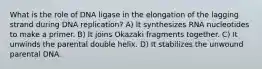 What is the role of DNA ligase in the elongation of the lagging strand during DNA replication? A) It synthesizes RNA nucleotides to make a primer. B) It joins Okazaki fragments together. C) It unwinds the parental double helix. D) It stabilizes the unwound parental DNA.