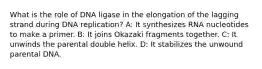 What is the role of DNA ligase in the elongation of the lagging strand during DNA replication? A: It synthesizes RNA nucleotides to make a primer. B: It joins Okazaki fragments together. C: It unwinds the parental double helix. D: It stabilizes the unwound parental DNA.