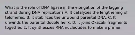 What is the role of DNA ligase in the elongation of the lagging strand during DNA replication? A. It catalyzes the lengthening of telomeres. B. It stabilizes the unwound parental DNA. C. It unwinds the parental double helix. D. It joins Okazaki fragments together. E. It synthesizes RNA nucleotides to make a primer.