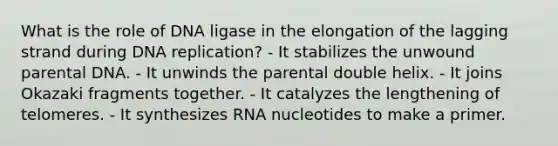 What is the role of DNA ligase in the elongation of the lagging strand during DNA replication? - It stabilizes the unwound parental DNA. - It unwinds the parental double helix. - It joins Okazaki fragments together. - It catalyzes the lengthening of telomeres. - It synthesizes RNA nucleotides to make a primer.