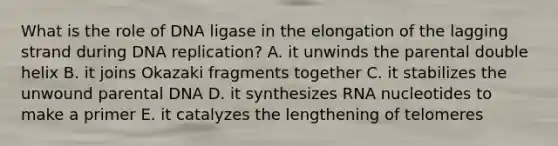 What is the role of DNA ligase in the elongation of the lagging strand during DNA replication? A. it unwinds the parental double helix B. it joins Okazaki fragments together C. it stabilizes the unwound parental DNA D. it synthesizes RNA nucleotides to make a primer E. it catalyzes the lengthening of telomeres