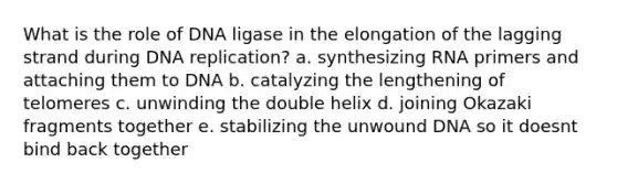 What is the role of DNA ligase in the elongation of the lagging strand during DNA replication? a. synthesizing RNA primers and attaching them to DNA b. catalyzing the lengthening of telomeres c. unwinding the double helix d. joining Okazaki fragments together e. stabilizing the unwound DNA so it doesnt bind back together