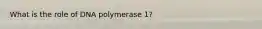 What is the role of DNA polymerase 1?
