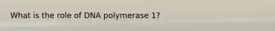 What is the role of DNA polymerase 1?