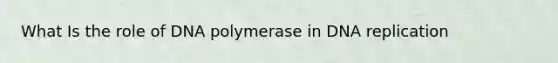 What Is the role of DNA polymerase in DNA replication
