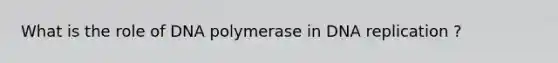 What is the role of DNA polymerase in DNA replication ?