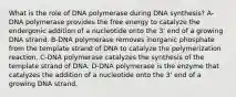 What is the role of DNA polymerase during DNA synthesis? A-DNA polymerase provides the free energy to catalyze the endergonic addition of a nucleotide onto the 3' end of a growing DNA strand. B-DNA polymerase removes inorganic phosphate from the template strand of DNA to catalyze the polymerization reaction. C-DNA polymerase catalyzes the synthesis of the template strand of DNA. D-DNA polymerase is the enzyme that catalyzes the addition of a nucleotide onto the 3' end of a growing DNA strand.