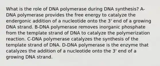 What is the role of DNA polymerase during DNA synthesis? A-DNA polymerase provides the free energy to catalyze the endergonic addition of a nucleotide onto the 3' end of a growing DNA strand. B-DNA polymerase removes inorganic phosphate from the template strand of DNA to catalyze the polymerization reaction. C-DNA polymerase catalyzes the synthesis of the template strand of DNA. D-DNA polymerase is the enzyme that catalyzes the addition of a nucleotide onto the 3' end of a growing DNA strand.