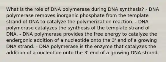 What is the role of DNA polymerase during DNA synthesis? - DNA polymerase removes inorganic phosphate from the template strand of DNA to catalyze the polymerization reaction. - DNA polymerase catalyzes the synthesis of the template strand of DNA. - DNA polymerase provides the free energy to catalyze the endergonic addition of a nucleotide onto the 3' end of a growing DNA strand. - DNA polymerase is the enzyme that catalyzes the addition of a nucleotide onto the 3' end of a growing DNA strand.