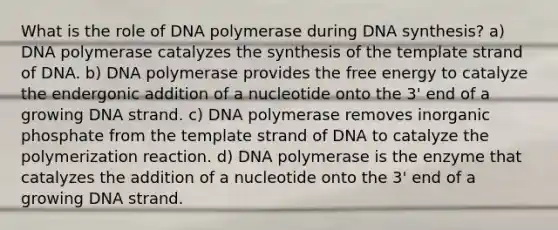 What is the role of DNA polymerase during DNA synthesis? a) DNA polymerase catalyzes the synthesis of the template strand of DNA. b) DNA polymerase provides the free energy to catalyze the endergonic addition of a nucleotide onto the 3' end of a growing DNA strand. c) DNA polymerase removes inorganic phosphate from the template strand of DNA to catalyze the polymerization reaction. d) DNA polymerase is the enzyme that catalyzes the addition of a nucleotide onto the 3' end of a growing DNA strand.