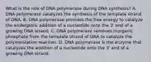 What is the role of DNA polymerase during DNA synthesis? A. DNA polymerase catalyzes the synthesis of the template strand of DNA. B. DNA polymerase provides the free energy to catalyze the endergonic addition of a nucleotide onto the 3' end of a growing DNA strand. C. DNA polymerase removes inorganic phosphate from the template strand of DNA to catalyze the polymerization reaction. D. DNA polymerase is the enzyme that catalyzes the addition of a nucleotide onto the 3' end of a growing DNA strand.