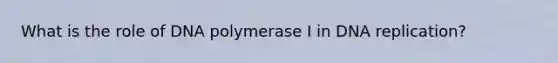 What is the role of DNA polymerase I in DNA replication?