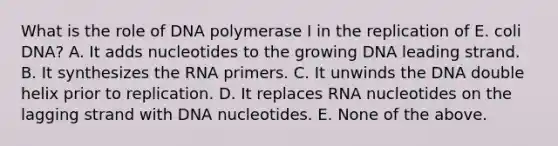 What is the role of DNA polymerase I in the replication of E. coli DNA? A. It adds nucleotides to the growing DNA leading strand. B. It synthesizes the RNA primers. C. It unwinds the DNA double helix prior to replication. D. It replaces RNA nucleotides on the lagging strand with DNA nucleotides. E. None of the above.