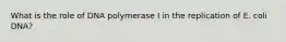 What is the role of DNA polymerase I in the replication of E. coli DNA?