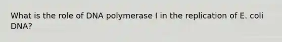 What is the role of DNA polymerase I in the replication of E. coli DNA?