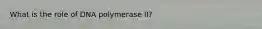 What is the role of DNA polymerase II?