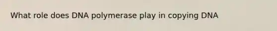 What role does DNA polymerase play in copying DNA