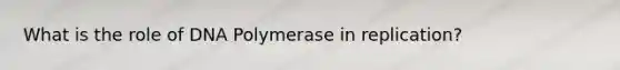 What is the role of DNA Polymerase in replication?