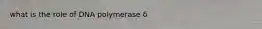 what is the role of DNA polymerase δ