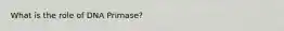 What is the role of DNA Primase?