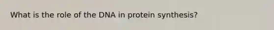 What is the role of the DNA in protein synthesis?