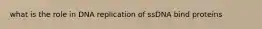 what is the role in DNA replication of ssDNA bind proteins