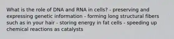 What is the role of DNA and RNA in cells? - preserving and expressing genetic information - forming long structural fibers such as in your hair - storing energy in fat cells - speeding up chemical reactions as catalysts