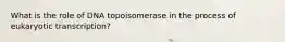 What is the role of DNA topoisomerase in the process of eukaryotic transcription?