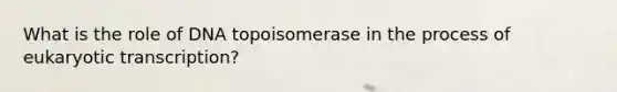 What is the role of DNA topoisomerase in the process of eukaryotic transcription?