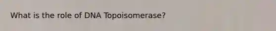 What is the role of DNA Topoisomerase?