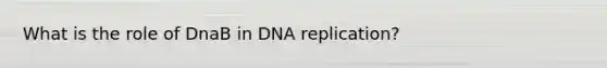 What is the role of DnaB in DNA replication?