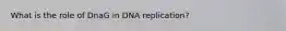 What is the role of DnaG in DNA replication?