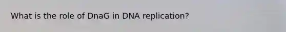 What is the role of DnaG in DNA replication?