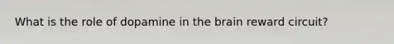 What is the role of dopamine in the brain reward circuit?