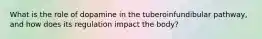 What is the role of dopamine in the tuberoinfundibular pathway, and how does its regulation impact the body?