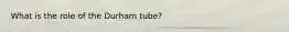 What is the role of the Durham tube?