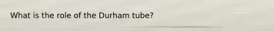 What is the role of the Durham tube?