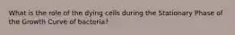 What is the role of the dying cells during the Stationary Phase of the Growth Curve of bacteria?