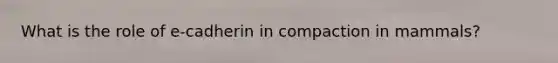 What is the role of e-cadherin in compaction in mammals?