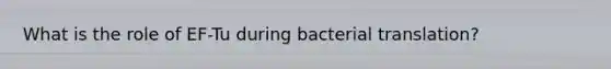 What is the role of EF-Tu during bacterial translation?