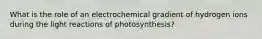 What is the role of an electrochemical gradient of hydrogen ions during the light reactions of photosynthesis?