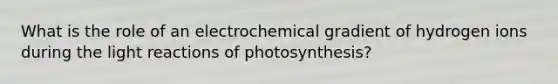 What is the role of an electrochemical gradient of hydrogen ions during the light reactions of photosynthesis?