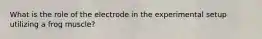 What is the role of the electrode in the experimental setup utilizing a frog muscle?