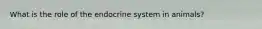What is the role of the endocrine system in animals?