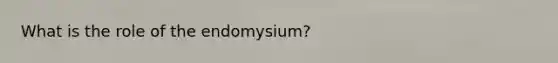 What is the role of the endomysium?